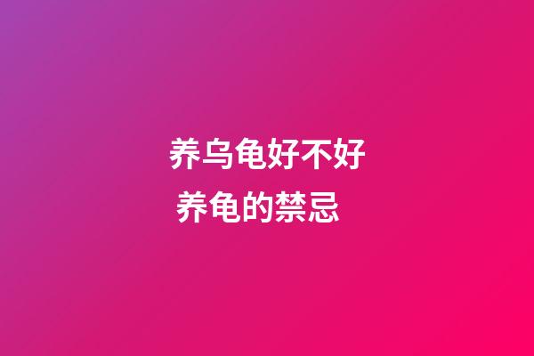 养乌龟好不好 养龟的禁忌